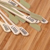 image:imageBambooMN  Vegan Marker Bamboo Paddle Skewer Pick  35 89cm  100 PiecesLamb