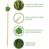 image:imageBambooMN 39 Inch Decorative St Patricks Day Green Shamrock Clover Bamboo Cocktail Sandwich Fruit Swizzle Picks Luck of the Irish Party Supplies 100 Pieces300