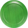 image:imageBambooMN 8 x 8 Bamboo Ecoware Reusable Dinnerware Square Plates for Catered Events Holidays or Home Use Supplies 4 Pcs13 Dia Round  Green