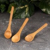 image:imageBambooMN Bamboo Spoons Mini Salt SpoonTiny Wooden Spoons for Spices 100pcs Carbonized Brown Oval 4339Inch OvalCarbonized Brown