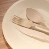 image:imageBambooMN Brand  Party Set EcoFriendly Dinnerware Camping Catering and Parties Disposable Biodegradable Pine  100 Piece Set 100 Round Plates 100 Spoons 100 Forks 100 Knives100