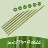 image:imageBambooMN Flat Sticks Bamboo Kebab Food Drink Skewers  59  1000pcsGreen