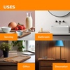 image:imageBambooMN Organic Bamboo Serving Tray Vanity Tea Appetizers Snacks Charcuterie Board 11x55x06  3 Trays11 X 55 X 06 Tiger Stripe