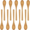 image:imageBambooMN 8 Reusable Bamboo Dinner Spoon  30 UnitsStandard Dinner Spoons  8