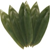 1000 Leaves