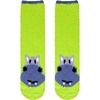 Hippo (2 Pairs)