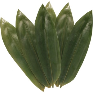 image:imageBambooMN Bamboo Leaves for Cooking Zongzi Banana Leaf Alternative GrillingBarbeque Natural Boiling Bags  1225 x 35 Inches  100 pack100 Leaves