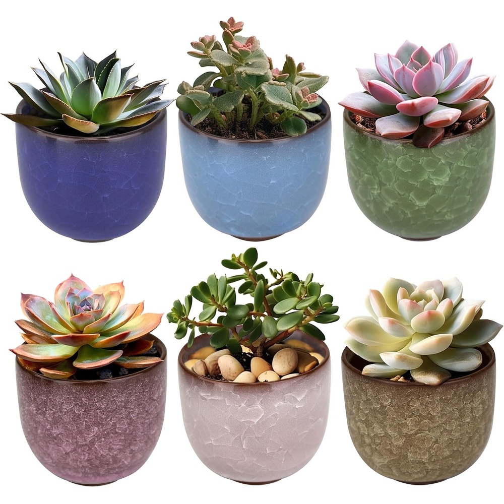 image:imageBambooMN Ice Crack Succulent Pots  6 Pots  Medium Round  Assorted Colors  256 Color Medium Pots