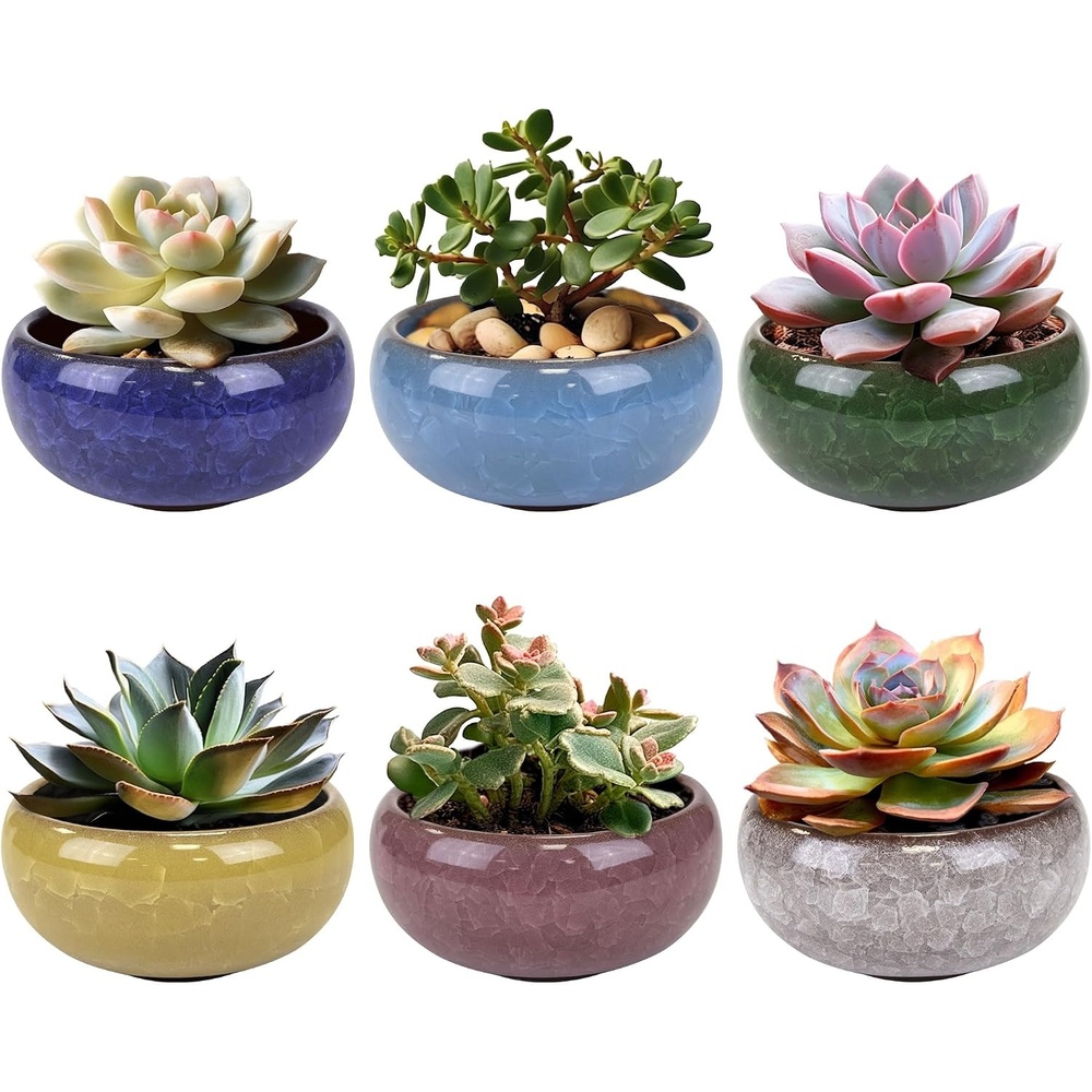 image:imageBambooMN Ice Crack Succulent Pots  6 Pots  Small Round  Assorted Colors  266 Color Small Pots