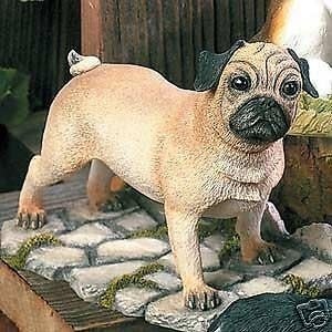 image:imageWhite Tailed Deer Stog CA04572 Natural WorldPug SM89030