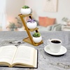image:imageBambooMN  Ceramic Succulent Pots  3 Pots  Square  with Bamboo Stand  White  351