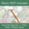 image:imageBambooMN  Ceramic Succulent Pots  3 Pots  Square  with Bamboo Stand  White  351
