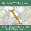 image:imageBambooMN  Ceramic Succulent Pots  3 Pots  Square  with Bamboo Stand  White  351