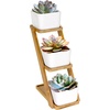 image:imageBambooMN  Ceramic Succulent Pots  3 Pots  Square  with Bamboo Stand  White  351