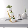 image:imageBambooMN  Ceramic Succulent Pots  3 Pots  Square  with Bamboo Stand  White  351
