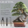image:imageBambooMN 15 Piece Bonsai Master Tools Set with Case Shears Concave Cutter Knob Cutter Wire Cutter Bonsai Trimming Branch Bending Beginner Friendly  1 Set15Piece Bonsai Set