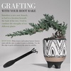 image:imageBambooMN 15 Piece Bonsai Master Tools Set with Case Shears Concave Cutter Knob Cutter Wire Cutter Bonsai Trimming Branch Bending Beginner Friendly  1 Set10Piece Bonsai Set