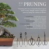 image:imageBambooMN 15 Piece Bonsai Master Tools Set with Case Shears Concave Cutter Knob Cutter Wire Cutter Bonsai Trimming Branch Bending Beginner Friendly  1 Set10Piece Bonsai Set