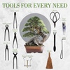 image:imageBambooMN 15 Piece Bonsai Master Tools Set with Case Shears Concave Cutter Knob Cutter Wire Cutter Bonsai Trimming Branch Bending Beginner Friendly  1 Set15Piece Bonsai Set