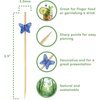 image:imageBambooMN 39 Decorative Acrylic Butterfly Bamboo Cocktail Fruit Sandwich Picks Skewers for Catered Events Holiday Restaurants or Buffets Party Supplies 300 PiecesCoffee