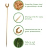 image:imageBambooMN 59 Decorative Lucky Horseshoe End Bamboo Cocktail Fruit Sandwich Picks Skewers for Catered Events Holidays Restaurants or Buffets Party Supplies 300 Pieces100