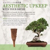 image:imageBambooMN 6 Brush Tool  3 Pieces