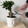 image:imageBambooMN 75 Root Cutter Tool  10 PiecesTrunk Splitter 8