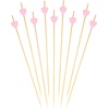 image:imageBambooMN 83 Inch Pink Heart Bamboo Food and Drink Pick Skewers for Catered Events Holidays Restaurants or Buffets Party Supplies 100 Pieces300