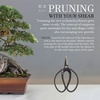 image:imageBambooMN Bonsai 7 Heavy Duty Butterfly Shear  1 Piece7 Heavy Duty Butterfly Shear