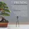 image:imageBambooMN Bonsai 7 Heavy Duty Butterfly Shear  1 Piece8 Concave Cutter