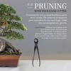 image:imageBambooMN Bonsai 7 Heavy Duty Butterfly Shear  1 Piece8 Knob Cutter