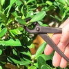 image:imageBambooMN Bonsai 7 Heavy Duty Butterfly Shear  1 PieceConcave Cutter  Heavy Duty Shear Set
