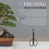 image:imageBambooMN Bonsai 7 Heavy Duty Butterfly Shear  1 PieceKnob Cutter  Trimming Shear Set