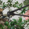 image:imageBambooMN Bonsai 7 Heavy Duty Butterfly Shear  1 PieceWire Cutter