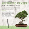 image:imageBambooMN Bonsai 7 Heavy Duty Butterfly Shear  1 PieceWire Cutter