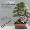 image:imageBambooMN Bonsai Tool Kit 5pc Basic Care Set  1 Set2 Piece Root Set