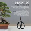 image:imageBambooMN Bonsai Tool Kit 5pc Basic Care Set  1 Set6 Bonsai Scissors