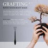 image:imageBambooMN Bonsai Tool Kit 5pc Basic Care Set  1 SetRoot Rake