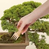image:imageBambooMN Bonsai Tool Kit 5pc Basic Care Set  1 SetTree Pruning Starter Tool Kit