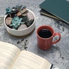 image:imageBambooMN Ceramic Succulent Planter Pots  1 Pot  Round Bowl  with Bamboo Tray  White  649White Pot  Bamboo Tray