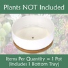 image:imageBambooMN Ceramic Succulent Planter Pots  1 Pot  Round Bowl  with Bamboo Tray  White  649White Pot  Bamboo Tray