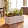 image:imageBambooMN Ceramic Succulent Pots  1 Pot  Short Rectangle  with Ceramic Tray  White  101White  Short Pot