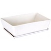 image:imageBambooMN Ceramic Succulent Pots  1 Pot  Short Rectangle  with Ceramic Tray  White  101White  Short Pot