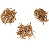 image:imageBambooMN Ginseng Root Large 3 Year Old American Grown Cultivated for Soups and Teas  Large Root  80160 pcs  16 ozLarge