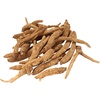 image:imageBambooMN Ginseng Root Large 3 Year Old American Grown Cultivated for Soups and Teas  Large Root  80160 pcs  16 ozMedium