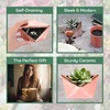 image:imageBambooMN Succulent Ceramic Pots  2 Pots  Gem Shape  Copper Color  482 Copper Gem Pots