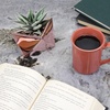 image:imageBambooMN Succulent Ceramic Pots  2 Pots  Gem Shape  Copper Color  482 Copper Gem Pots