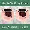 image:imageBambooMN Succulent Pots  2 Pots  Hexagonal  Copper  352 Copper Hex Pots