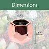 image:imageBambooMN Succulent Pots  2 Pots  Hexagonal  Copper  352 Copper Hex Pots
