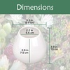 image:imageBambooMN Succulent Pots  3 WallMounted Planters  Tear Shape  White  33 DiameterWhite